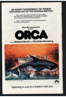 Click to see a larger back cover image