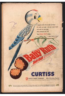 Click to see a larger back cover image