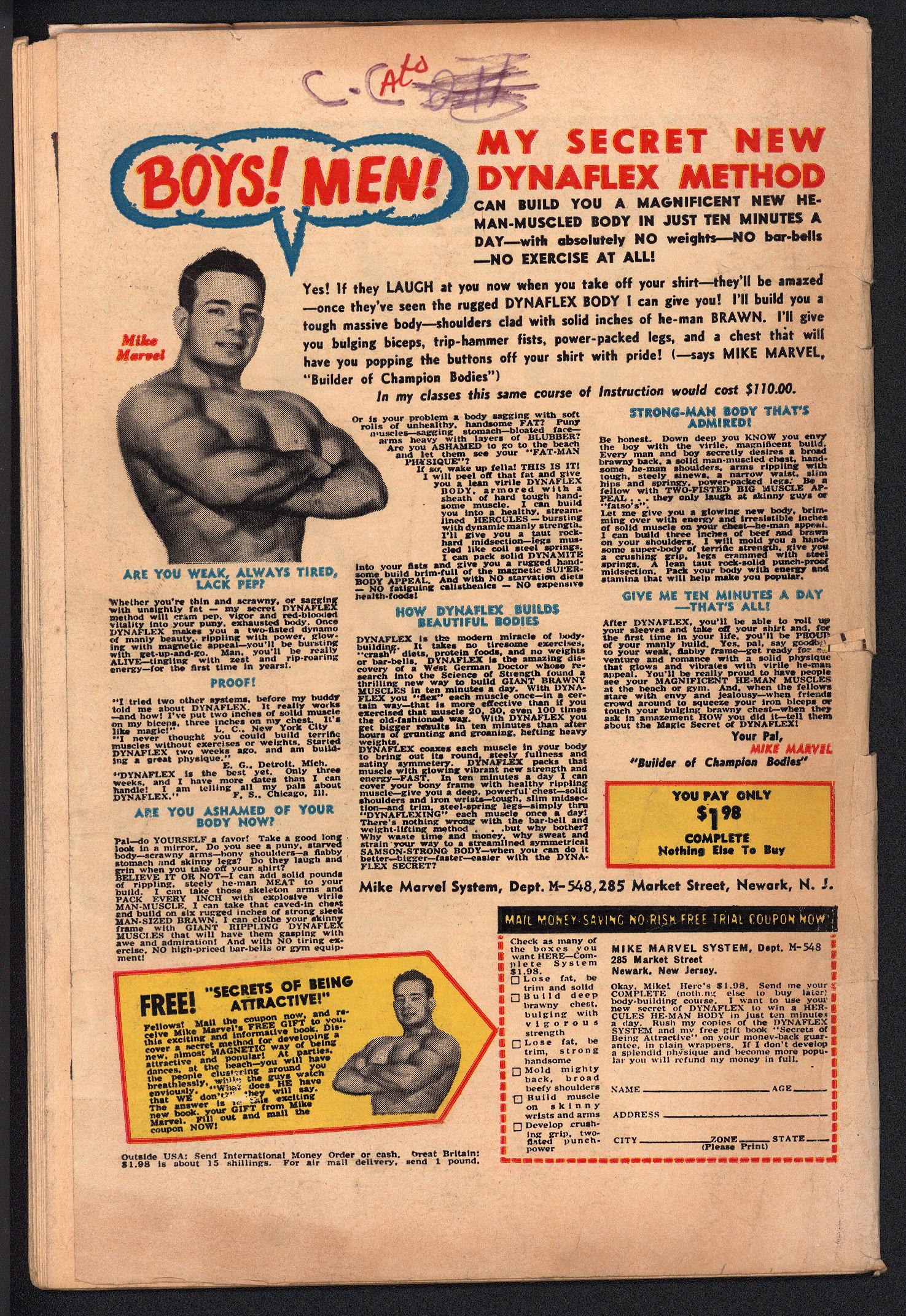 AMAZING SPIDER-MAN Back Cover