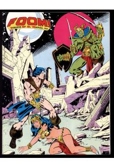 FOOM #20 9.0 front cover