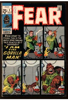 FEAR #5 5.0 front cover