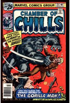 CHAMBER OF CHILLS #23 5.0 front cover