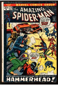 AMAZING SPIDER-MAN #114 3.5 front cover