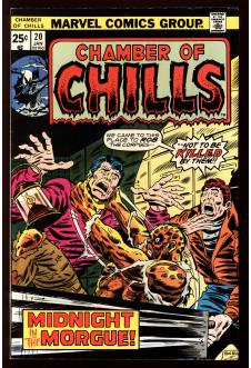 CHAMBER OF CHILLS #20 7.0 front cover