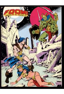 FOOM #20 8.0 front cover