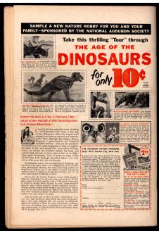 Click to see a larger back cover image