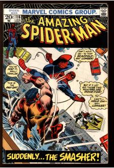 AMAZING SPIDER-MAN #116 5.5 front cover