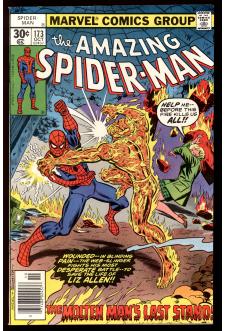 Cover of The Amazing Spider-Man #173