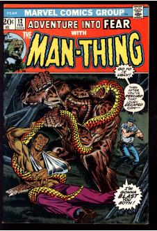 FEAR #12 6.0 front cover