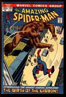 AMAZING SPIDER-MAN #110 5.5 front cover