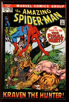 AMAZING SPIDER-MAN #104 4.5 front cover