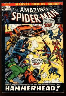 AMAZING SPIDER-MAN #114 3.0 front cover