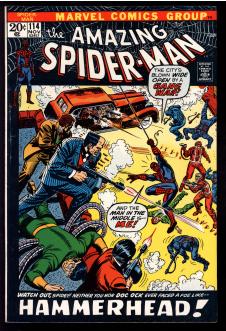 AMAZING SPIDER-MAN #114 6.5 front cover