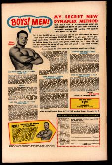 Click to see a larger back cover image