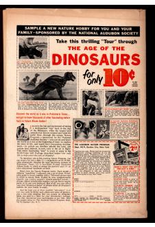 Click to see a larger back cover image