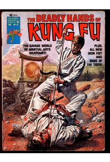 Cover of The Deadly Hands of Kung Fu #21