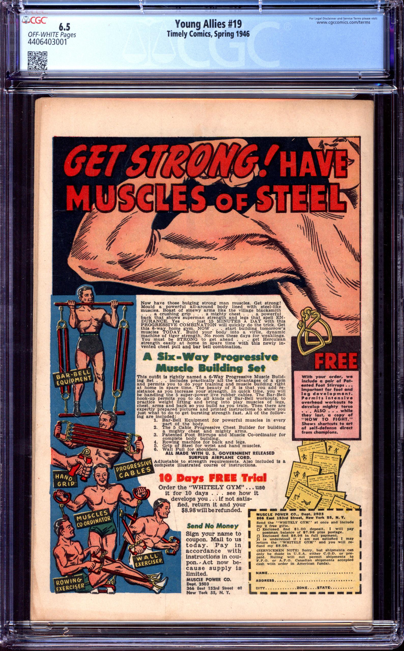 YOUNG ALLIES Back Cover