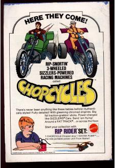 Click to see a larger back cover image