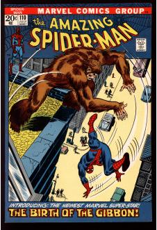 AMAZING SPIDER-MAN #110 8.5 front cover