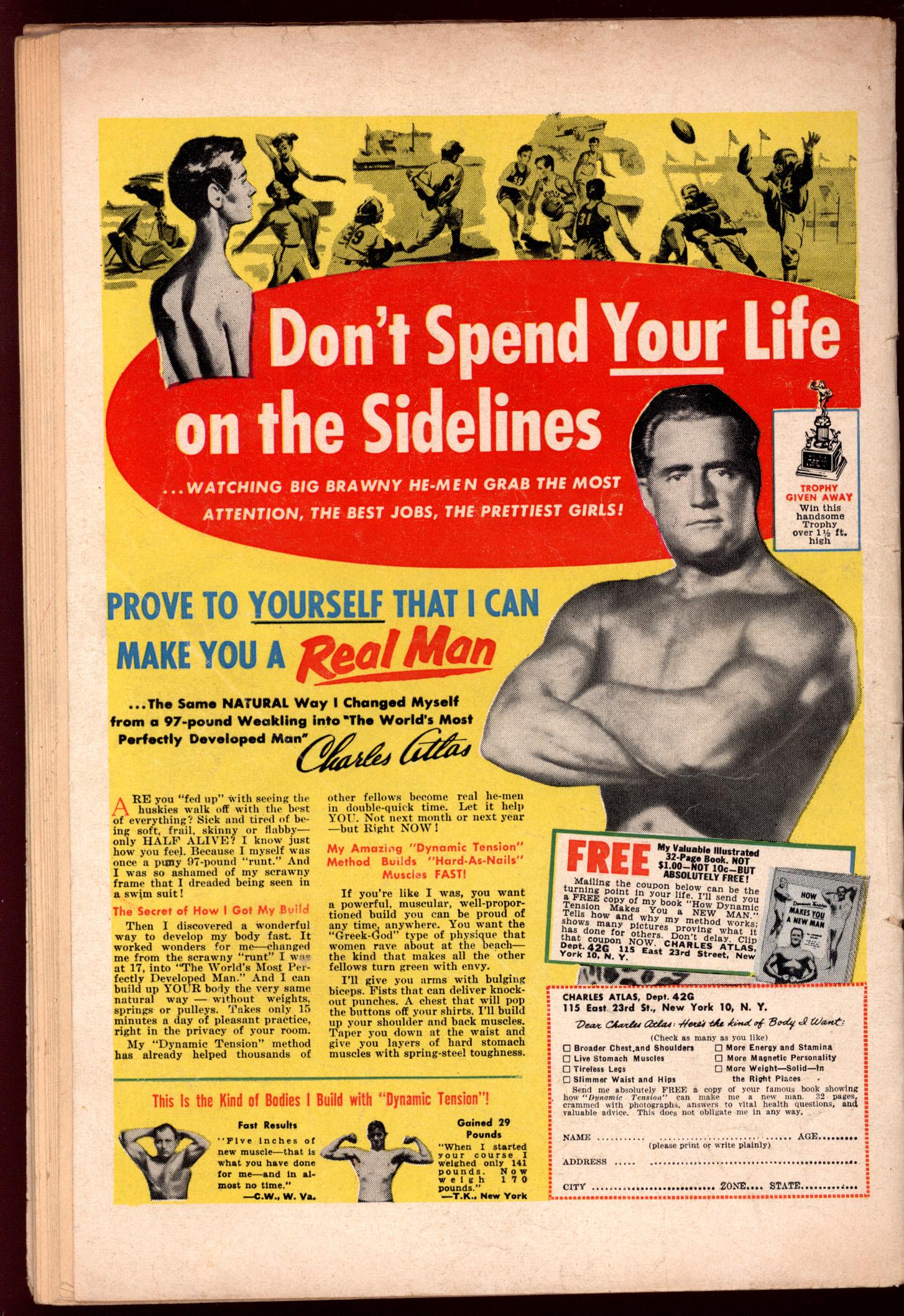 ADVENTURES OF THE FLY Back Cover