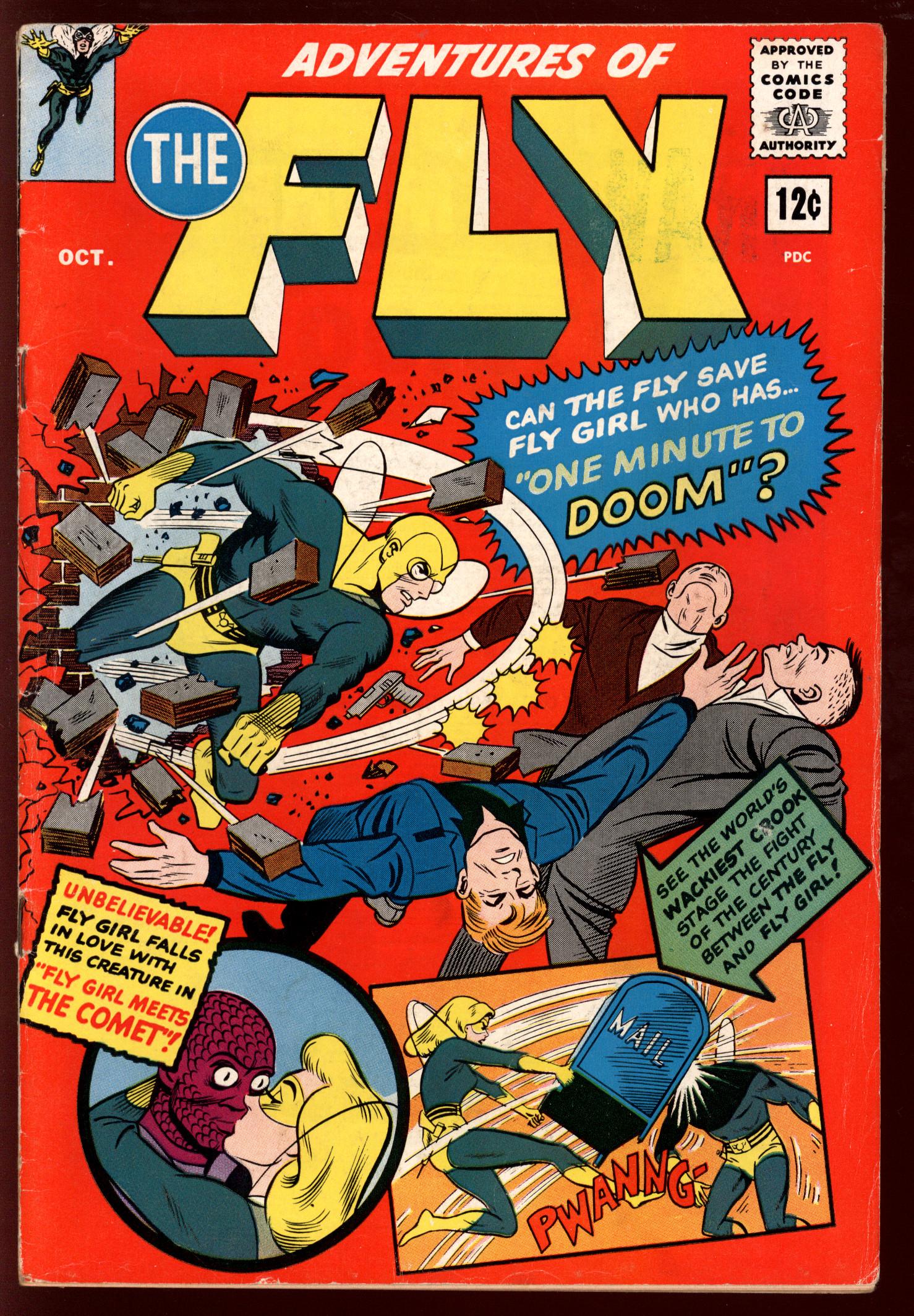 ADVENTURES OF THE FLY Front Cover