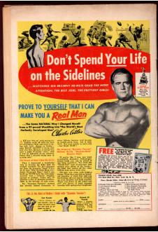 Click to see a larger back cover image