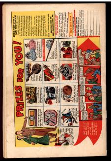 Click to see a larger back cover image