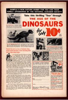 Click to see a larger back cover image