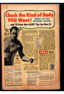 Click to see a larger back cover image