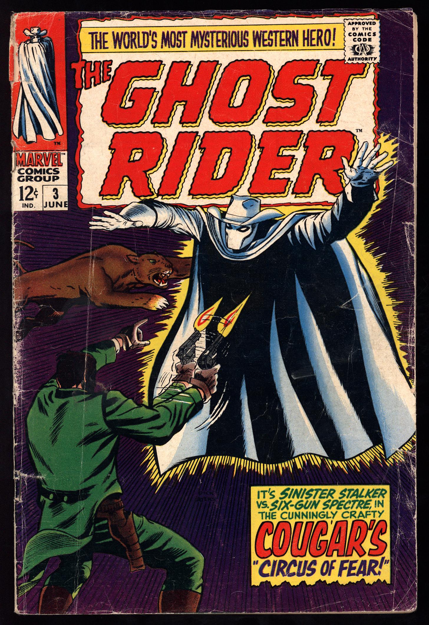 アメコミ Ghost Rider Marvel Ghost Rider/Wolverine/Punisher: Hearts Of Darkness by Howard