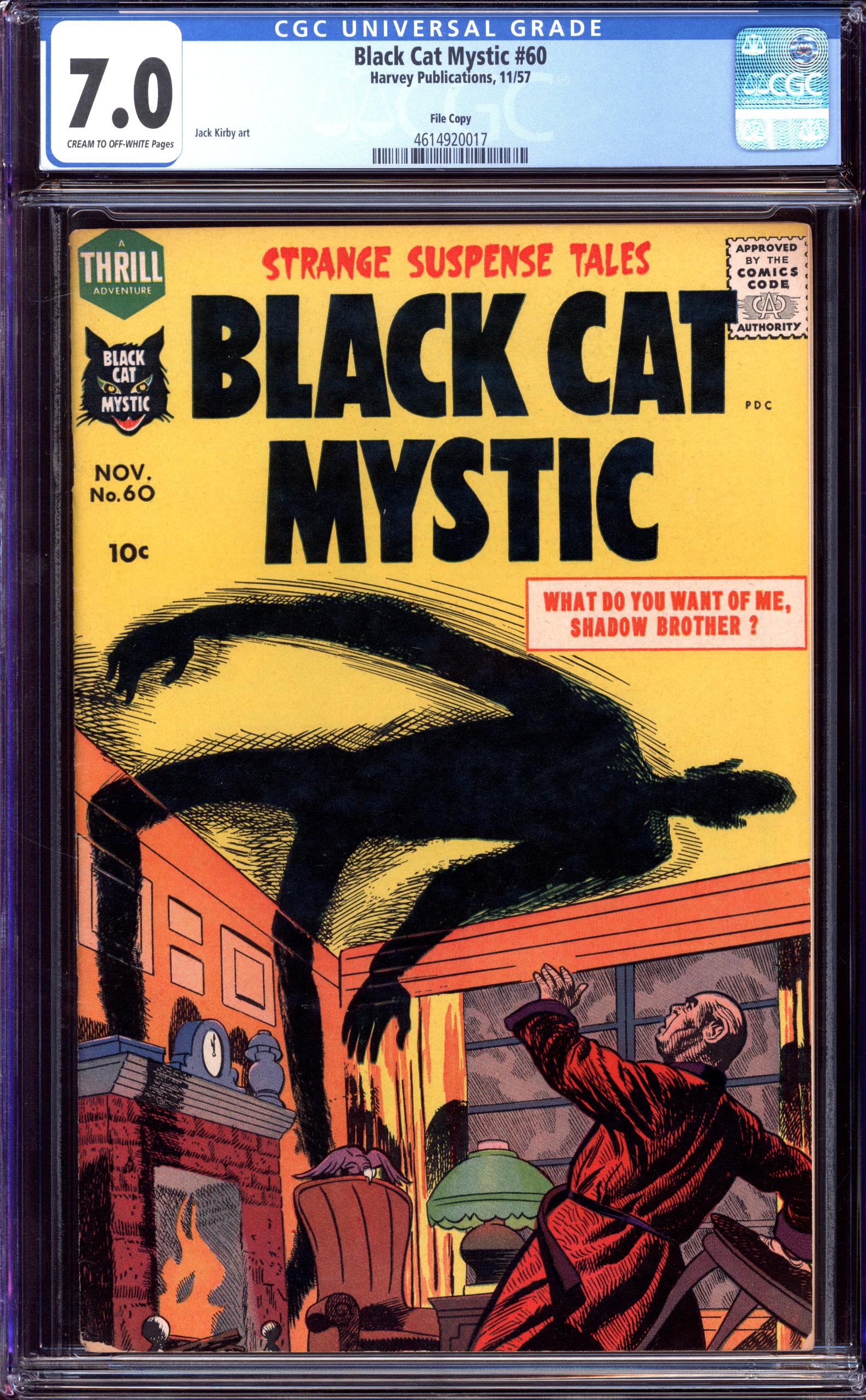 BLACK CAT MYSTIC Front Cover