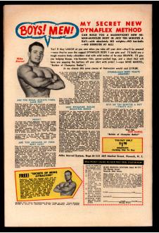 Click to see a larger back cover image