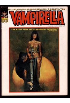 VAMPIRELLA #13 5.5 front cover