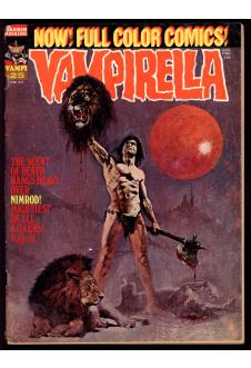 VAMPIRELLA #25 5.0 front cover