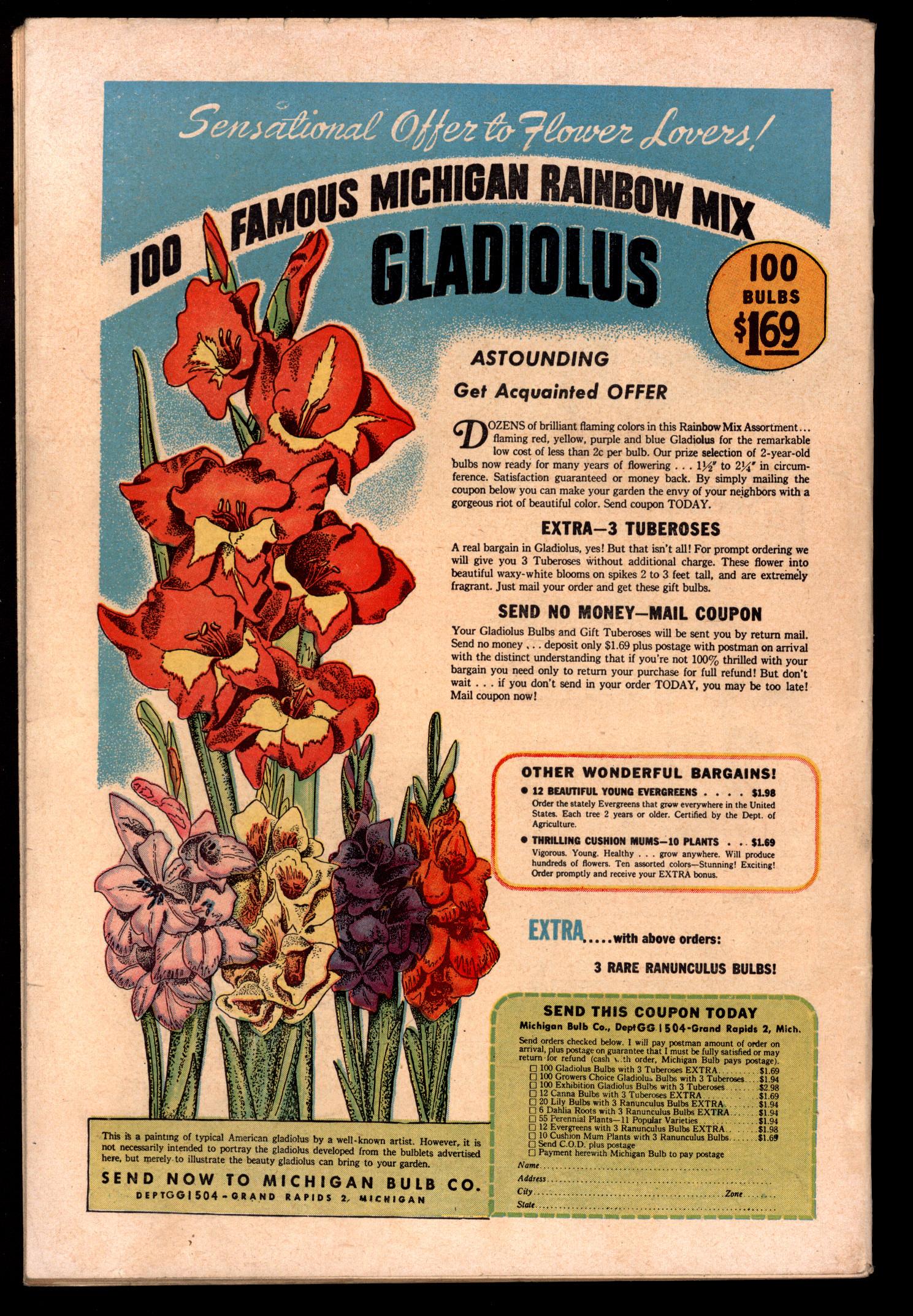 TESSIE THE TYPIST Back Cover