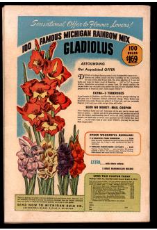 Click to see a larger back cover image