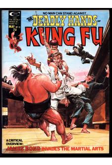 DEADLY HANDS OF KUNG FU #12 7.5 front cover