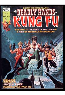 DEADLY HANDS OF KUNG FU #16 9.0 front cover