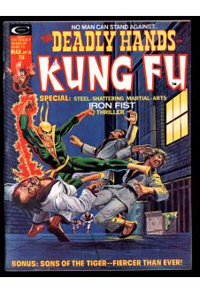 DEADLY HANDS OF KUNG FU #10 6.0 front cover