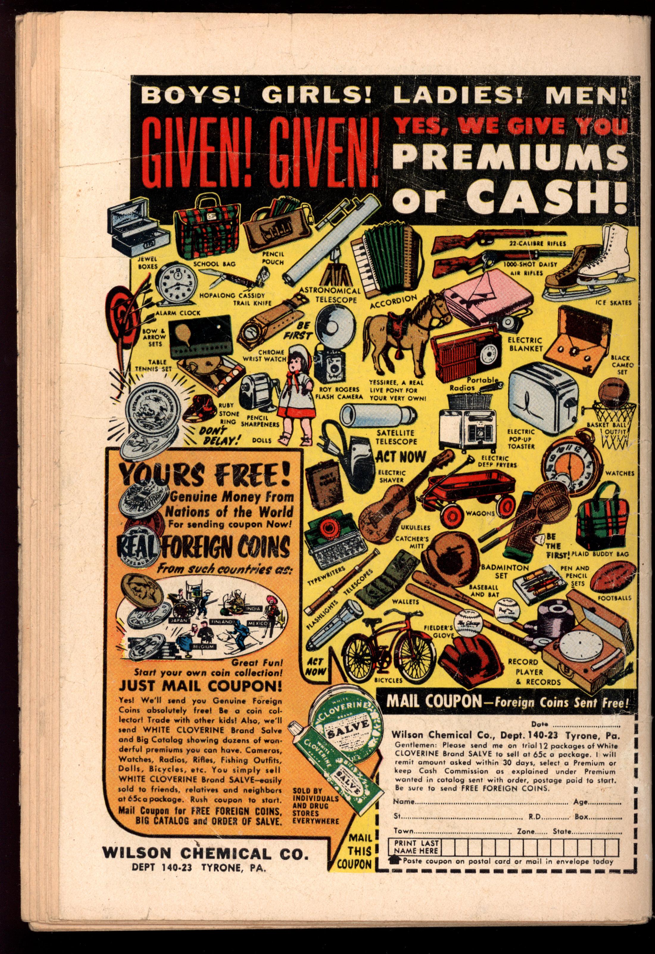 ADVENTURES OF THE FLY Back Cover