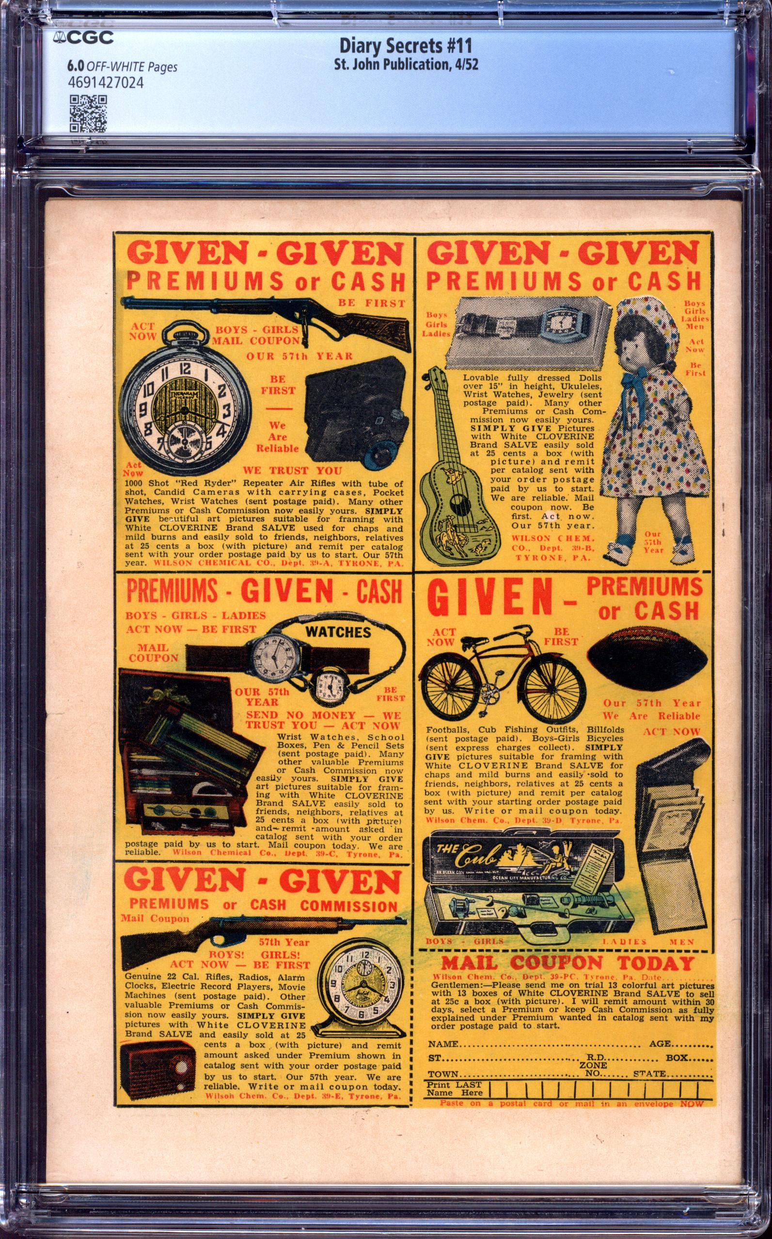 DIARY SECRETS Back Cover