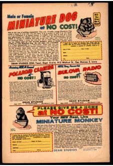 Click to see a larger back cover image