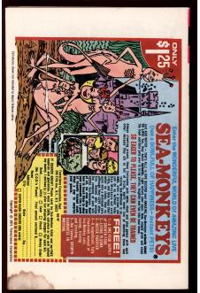 Click to see a larger back cover image
