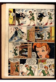 Click to see a larger back cover image