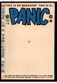 PANIC #6 3.5 front cover