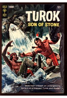 TUROK, SON OF STONE #43 8.5 front cover