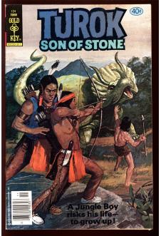 TUROK, SON OF STONE #124 8.0 front cover
