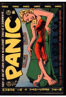 PANIC #5 5.5 front cover