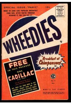 PANIC #11 7.0 front cover