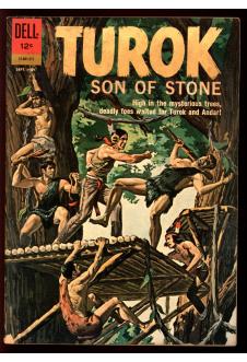 TUROK, SON OF STONE #29 5.5 front cover